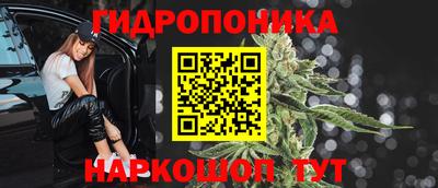 эйфоретик Берёзовский