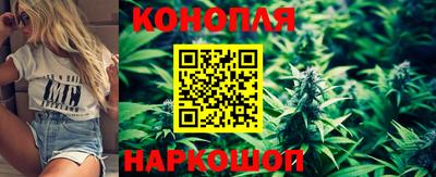 твердый Бийск