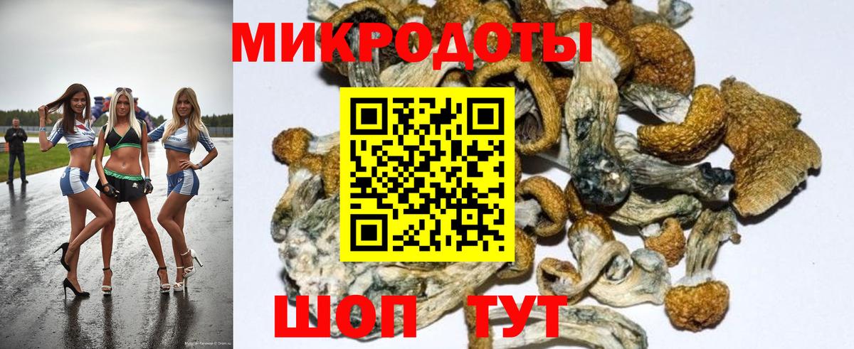 купить наркотик  Вход с VPN  Киров  Галлюциногенные грибы MAGIC MUSHROOMS 